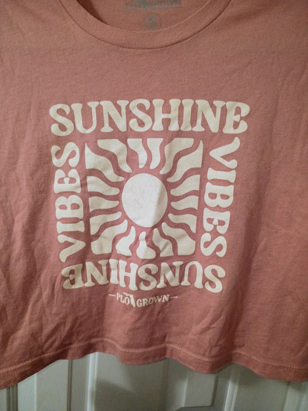 Sunshine Vibes Cropped Graphic Tee - Dusty Pink